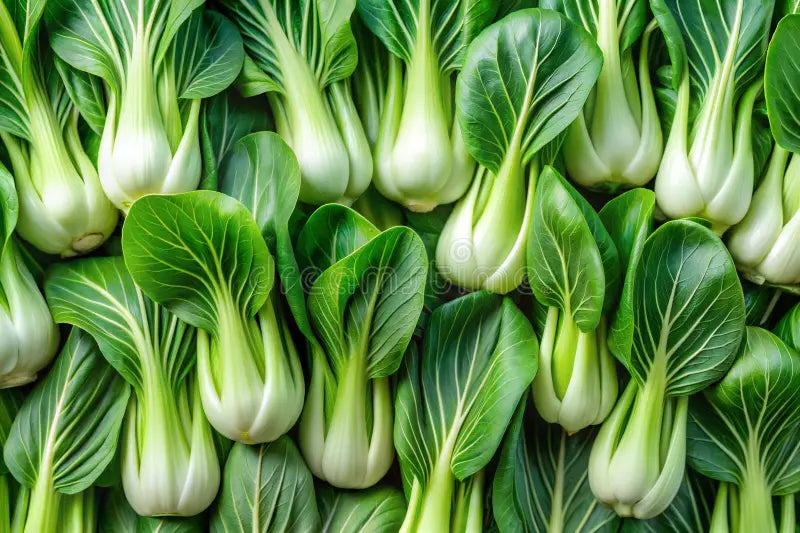 Pak Choi