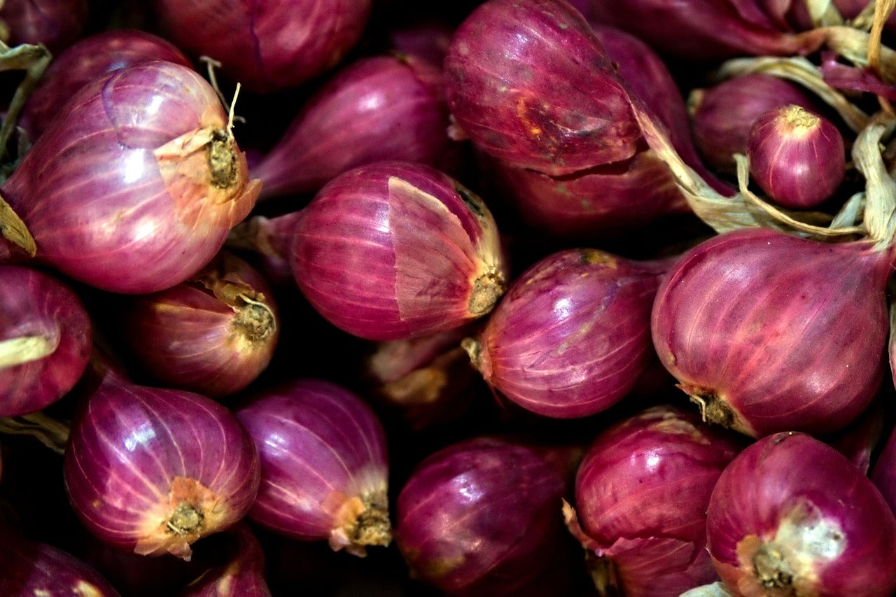 Red Onion