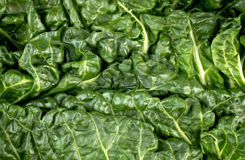 Silver Beet