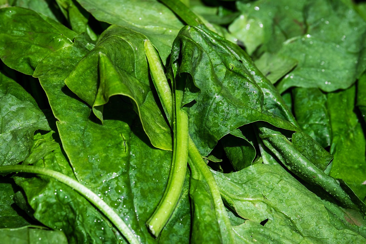 Spinach - loose leaf